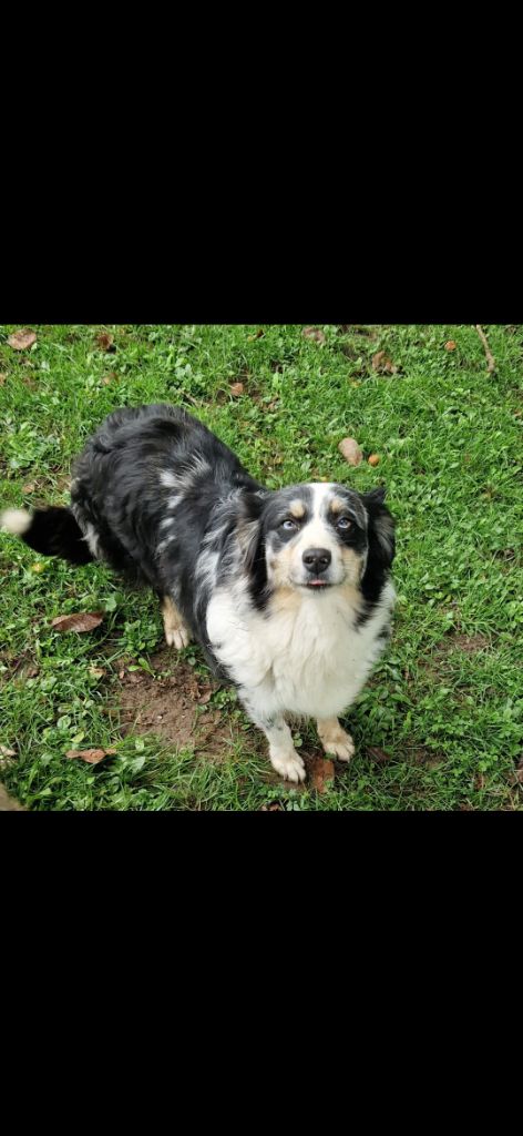 Pala du Moulin de la Terrasse
